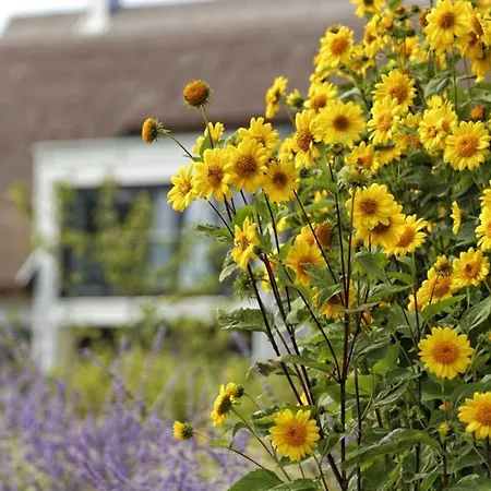 Strasse Der Freundschaft 30c *