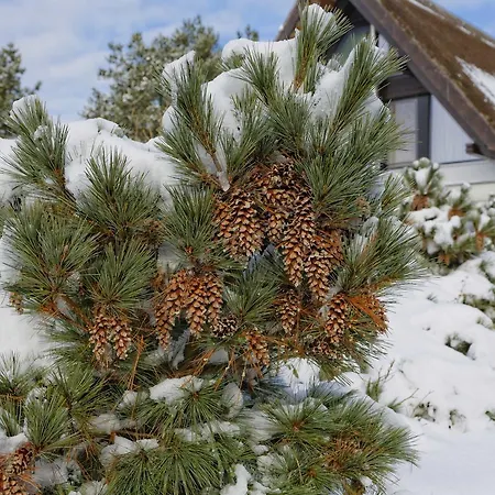 Strasse Der Freundschaft 30c * Karlshagen