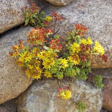 Strasse Der Freundschaft 30c Dom wakacyjny