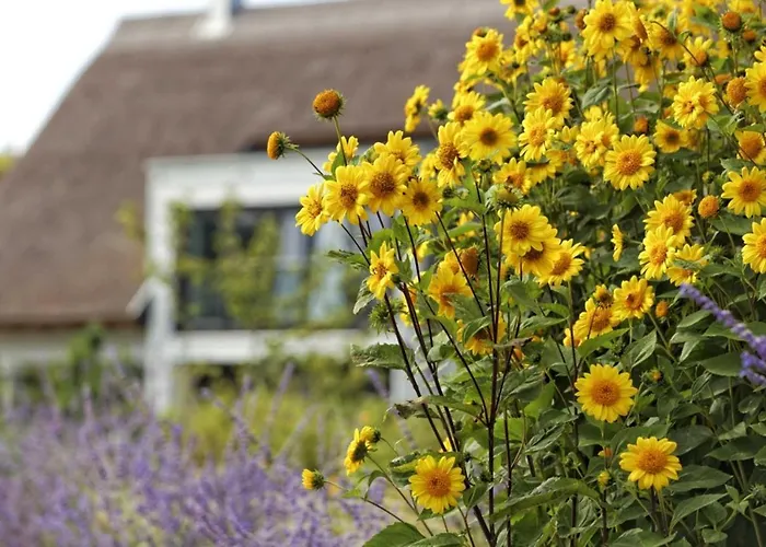 Straße Der Freundschaft 30c *
