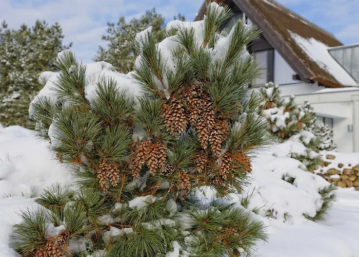 Straße Der Freundschaft 30c * Karlshagen