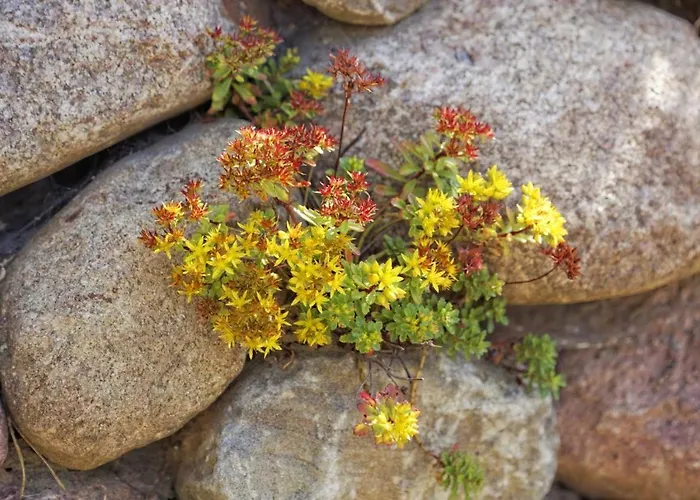 Straße Der Freundschaft 30c Ferienhaus